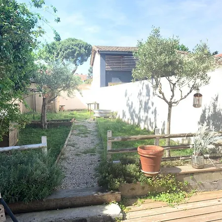 La Maison De Marie - Jardin Arbore - Garage Privatif - Netflix Carcassone Exterior photo
