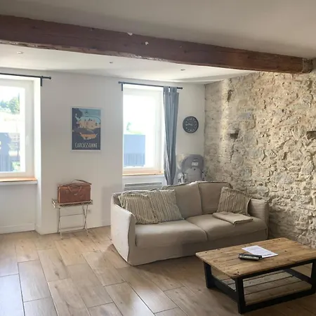La Maison De Marie - Jardin Arbore - Garage Privatif - Netflix Carcassone Exterior photo